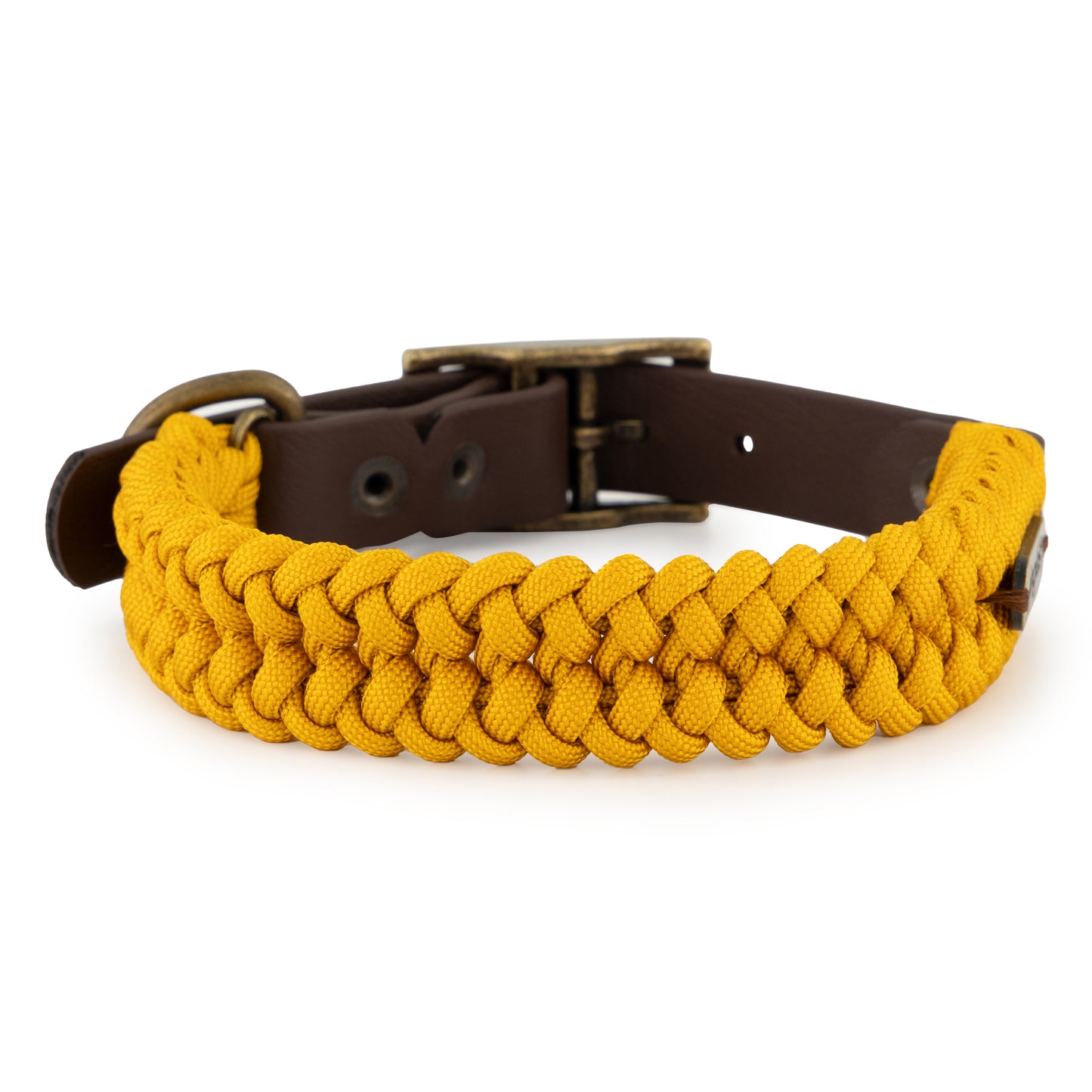 Jingles - Collar amarillo