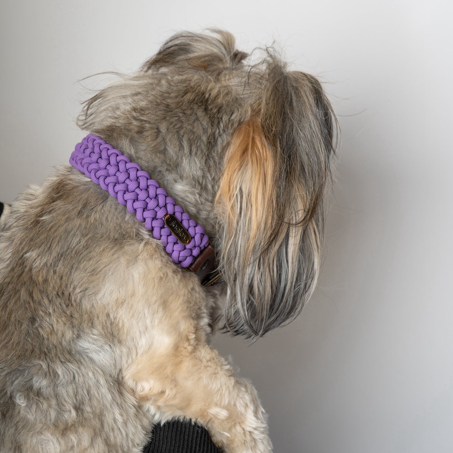 Jingles - Collar morado
