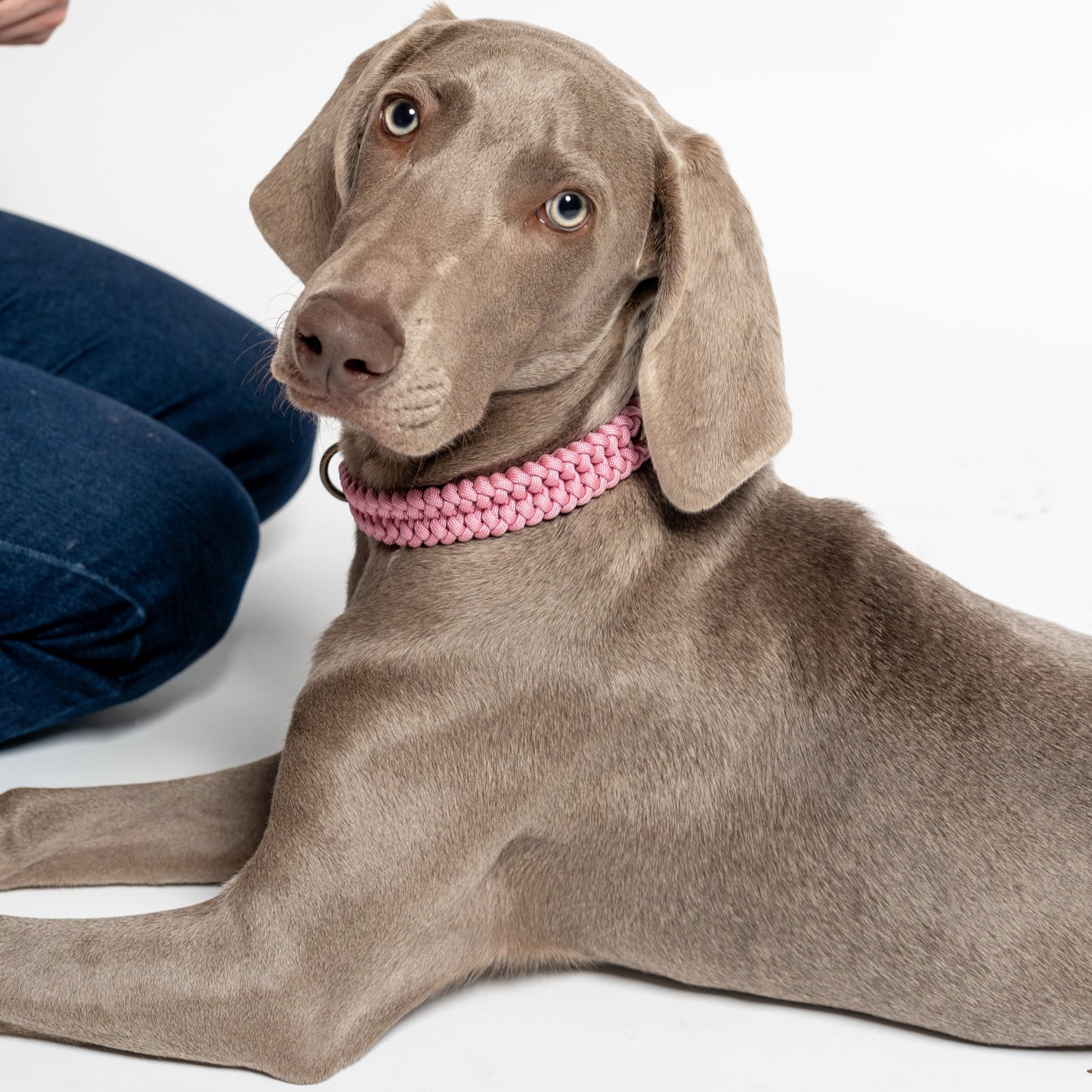 Jingles - Collar rosa claro