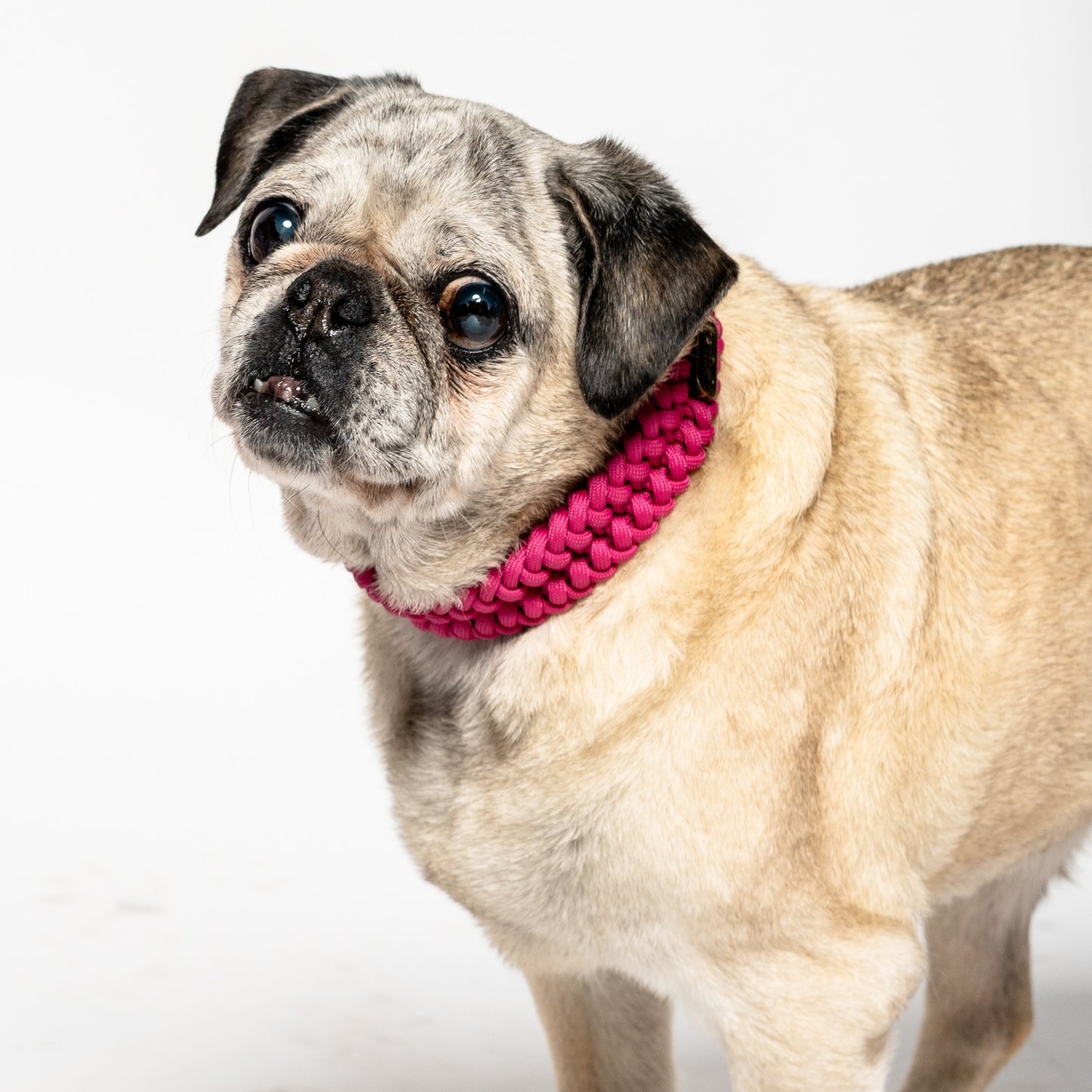 Jingles - Collar rosa